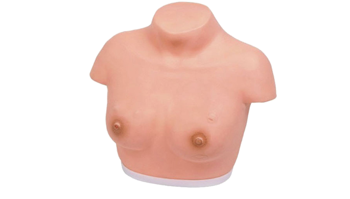 MW003 乳腺癌视诊与触诊操作模型