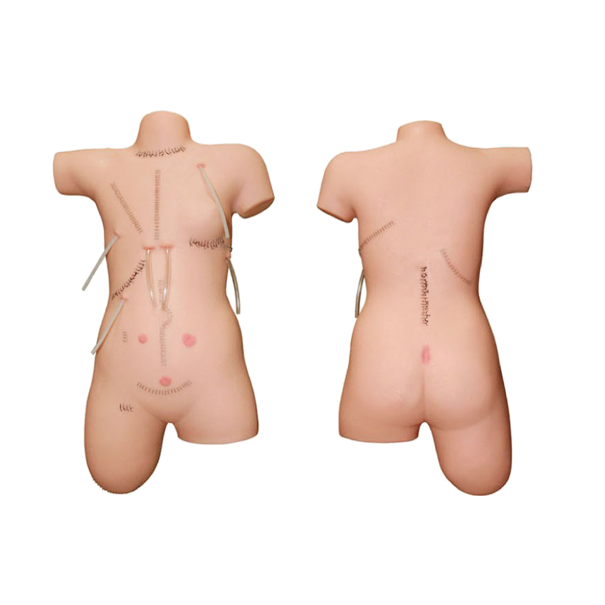 MW002 外科清创缝合展示模型