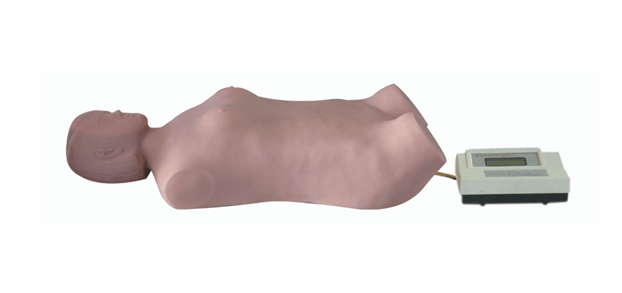 MN308全自动腹部触诊听诊模拟人