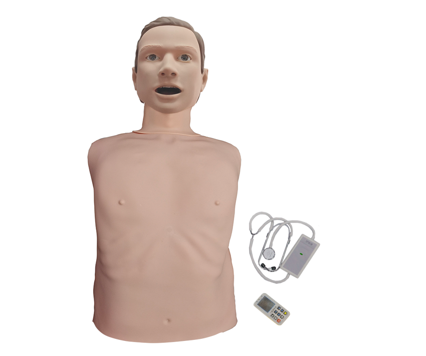 MN303心肺音听诊模型