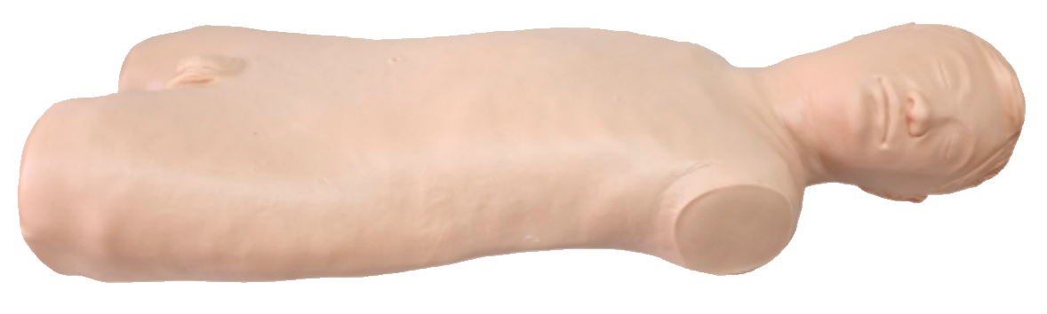 MN302腹腔穿刺模型