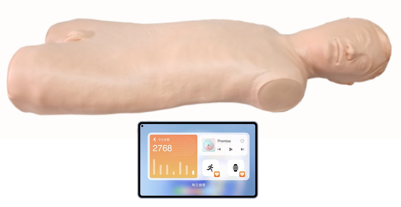 MN209高级骨髓穿刺训练系统