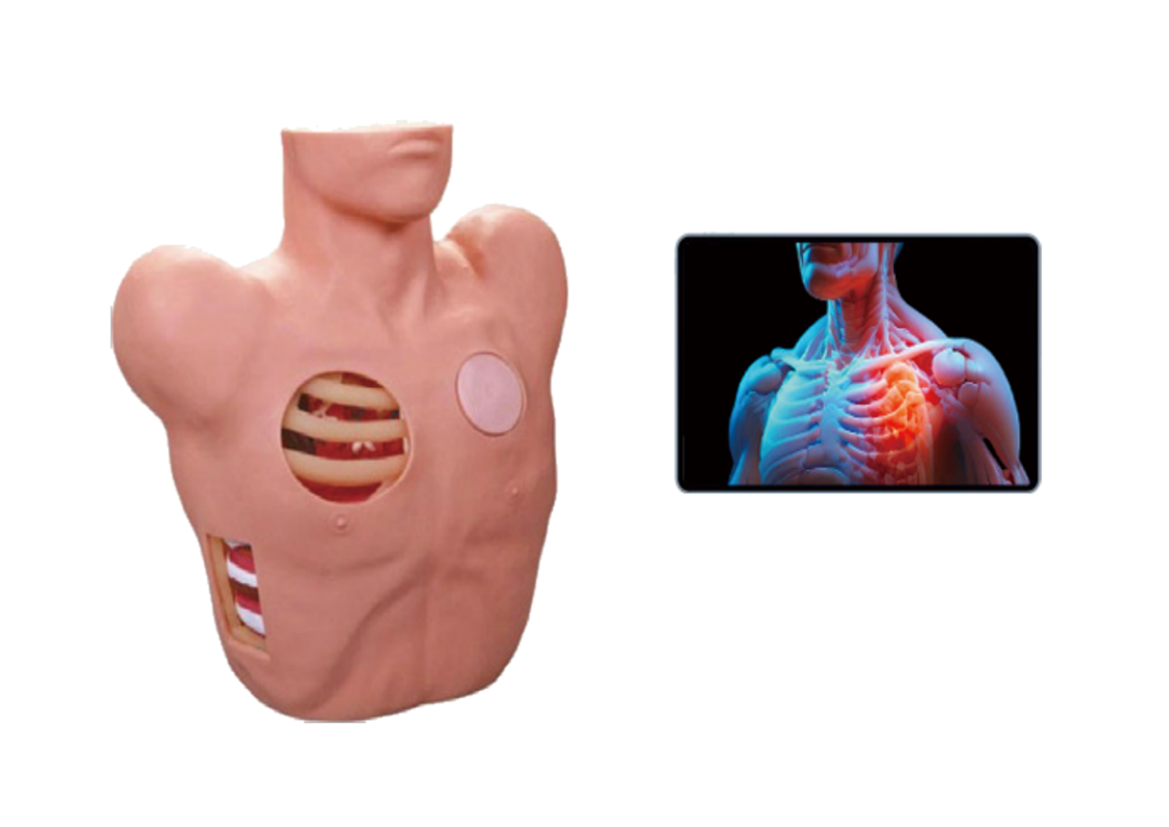 MN206胸腔穿刺训练考核系统