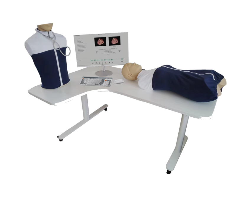 MN203S胸部检查与腹部检查教学系统V2(学生机)