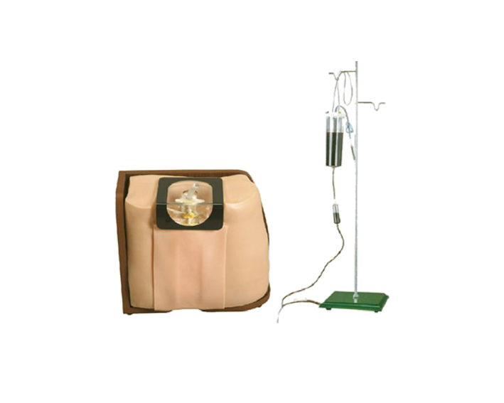 MN010腰椎穿刺操作模型