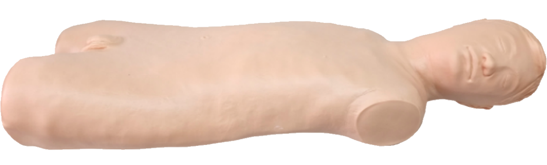 MN004综合穿刺模型