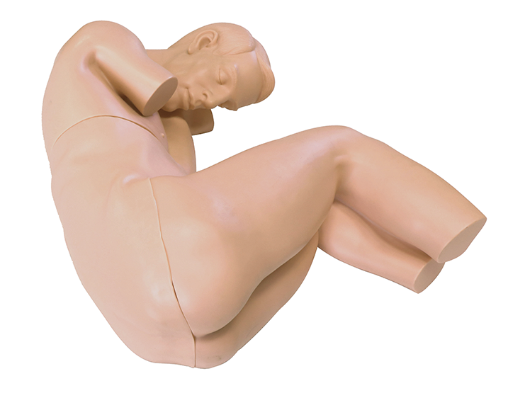 MN003腰椎穿刺模型