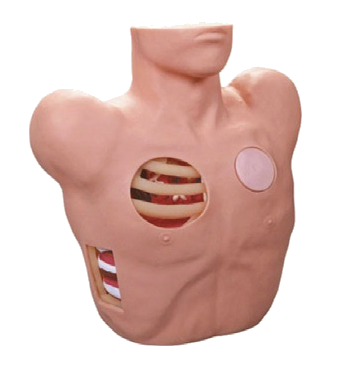 MN001示教式胸腔穿刺操作模型