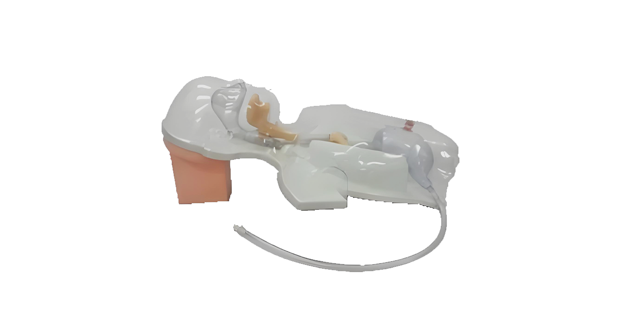 ME021 小儿多功能透明鼻饲及洗胃模型