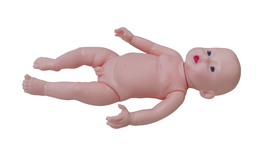 ME016 高级足月胎儿模型