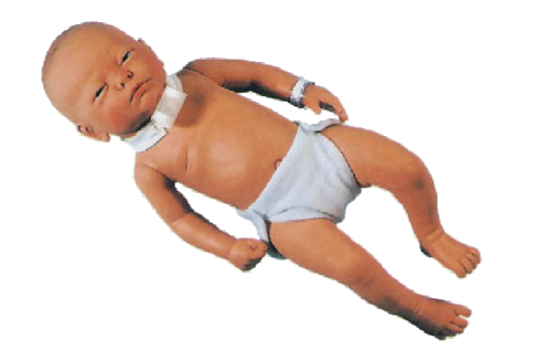 ME010 婴儿气管切开护理模型