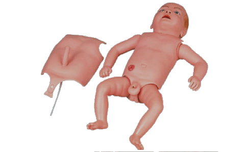 ME008 高级婴儿全身护理模型