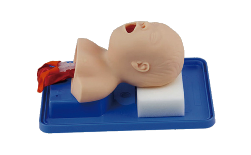 ME007 新生儿气管插管模型
