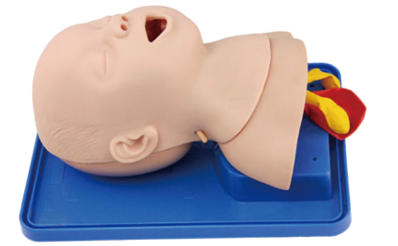 ME006 婴儿气管插管模型