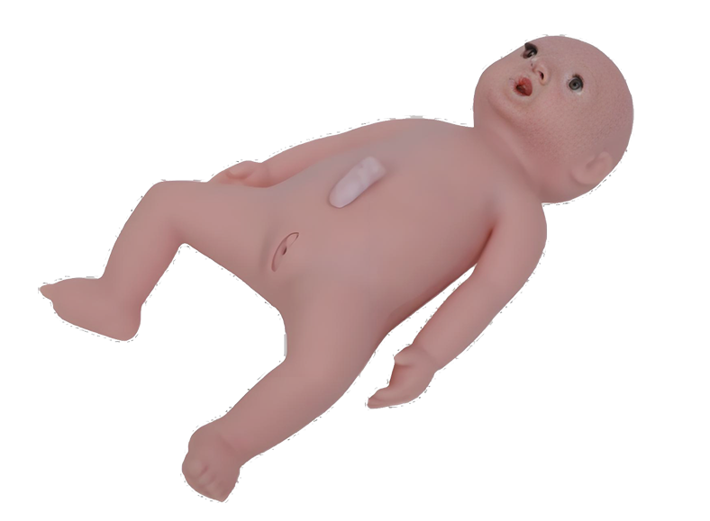 ME005 高级婴儿护理模型