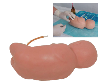 ME003 新生儿腰椎穿刺模型