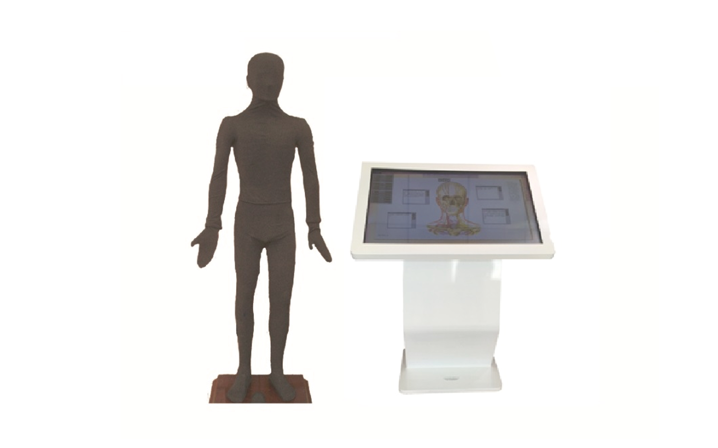 MZ211 多媒体按摩点穴交互数字平台