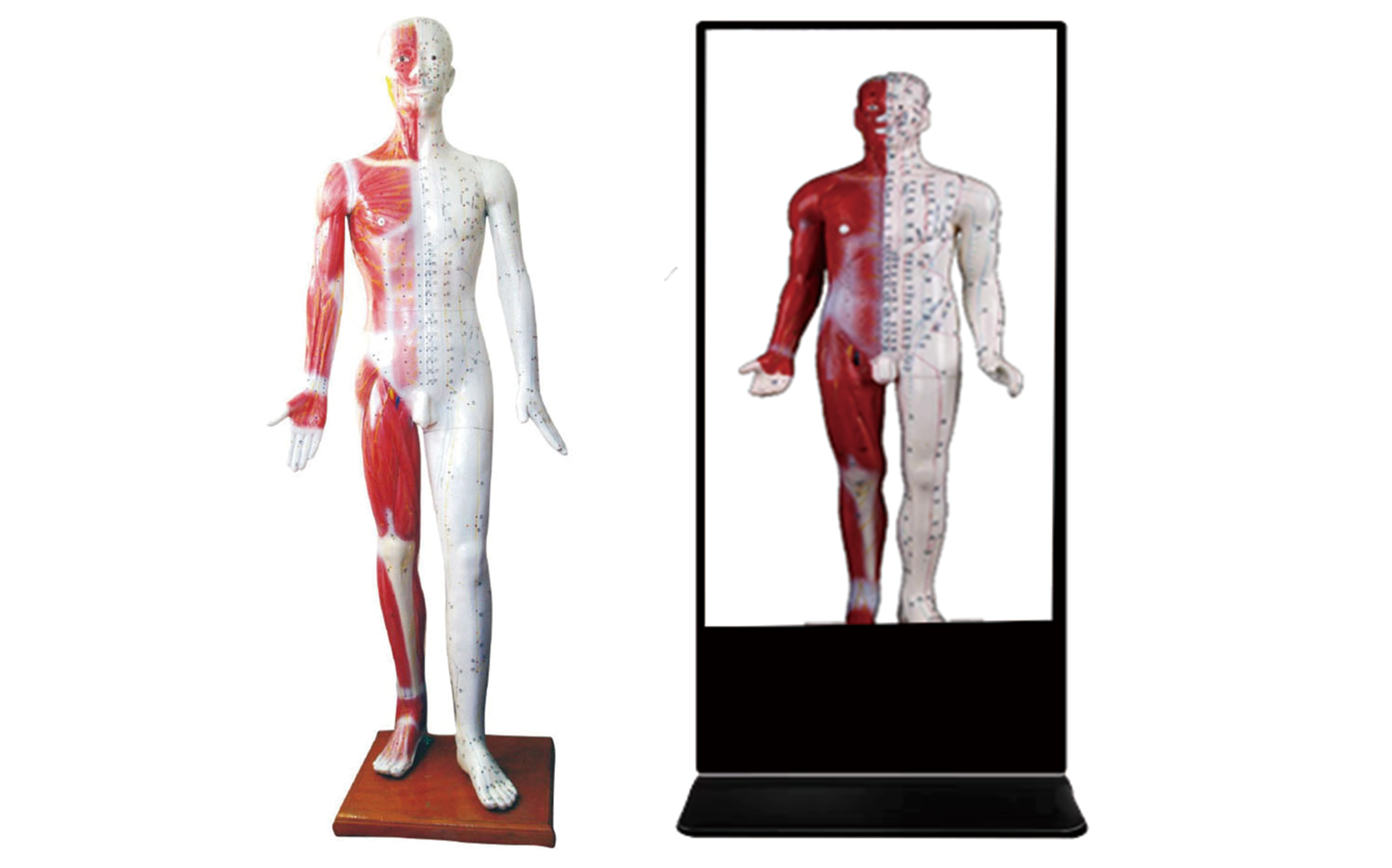 MZ208 多媒体灯光演示数字交互式平台