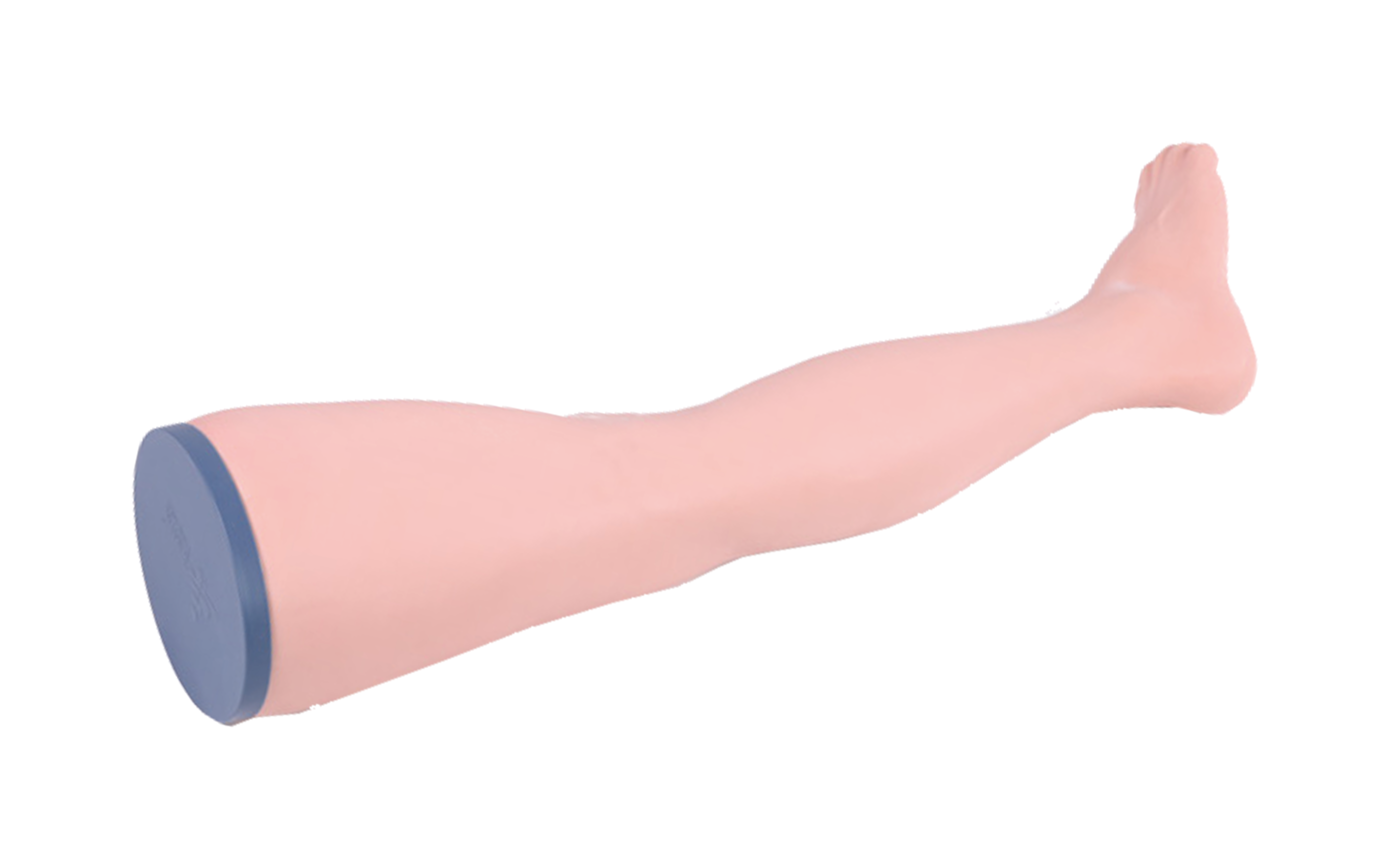 MZ004 针灸腿部训练模型