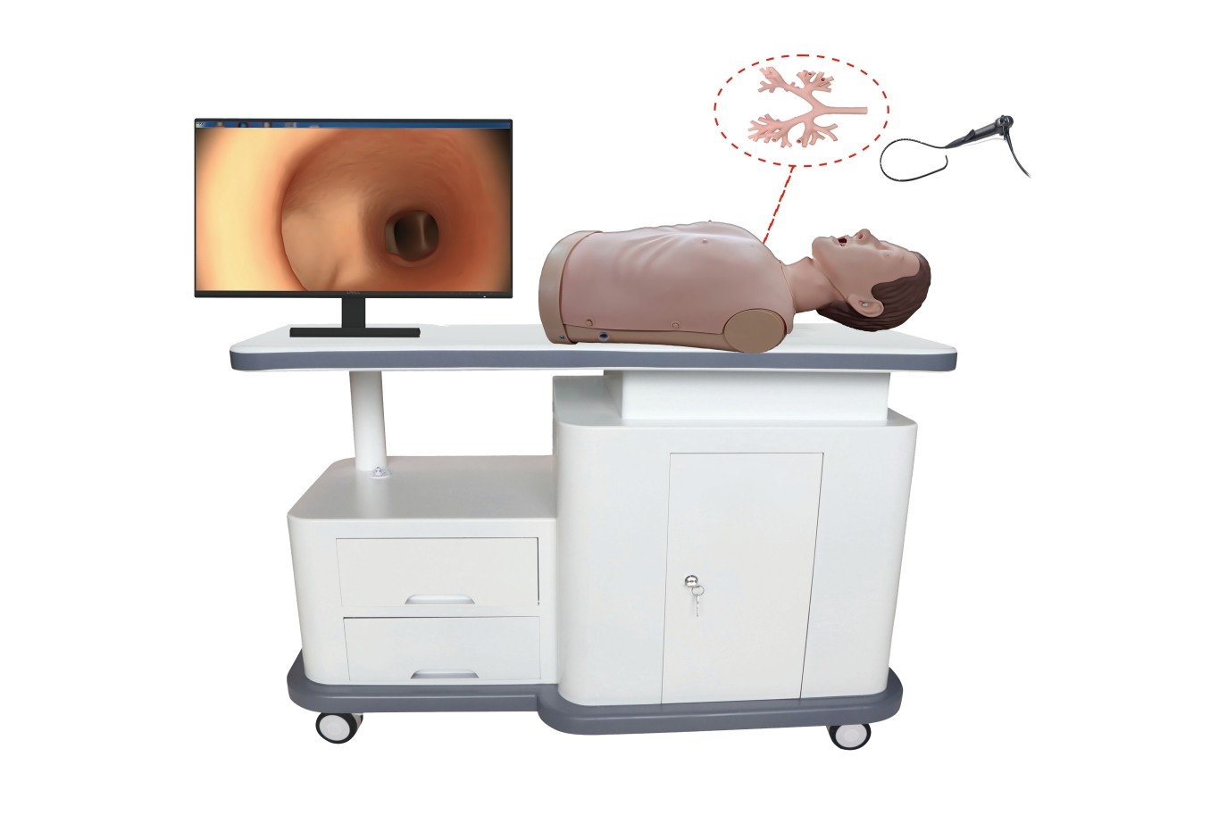 杏林医教（湖北）科技有限公司