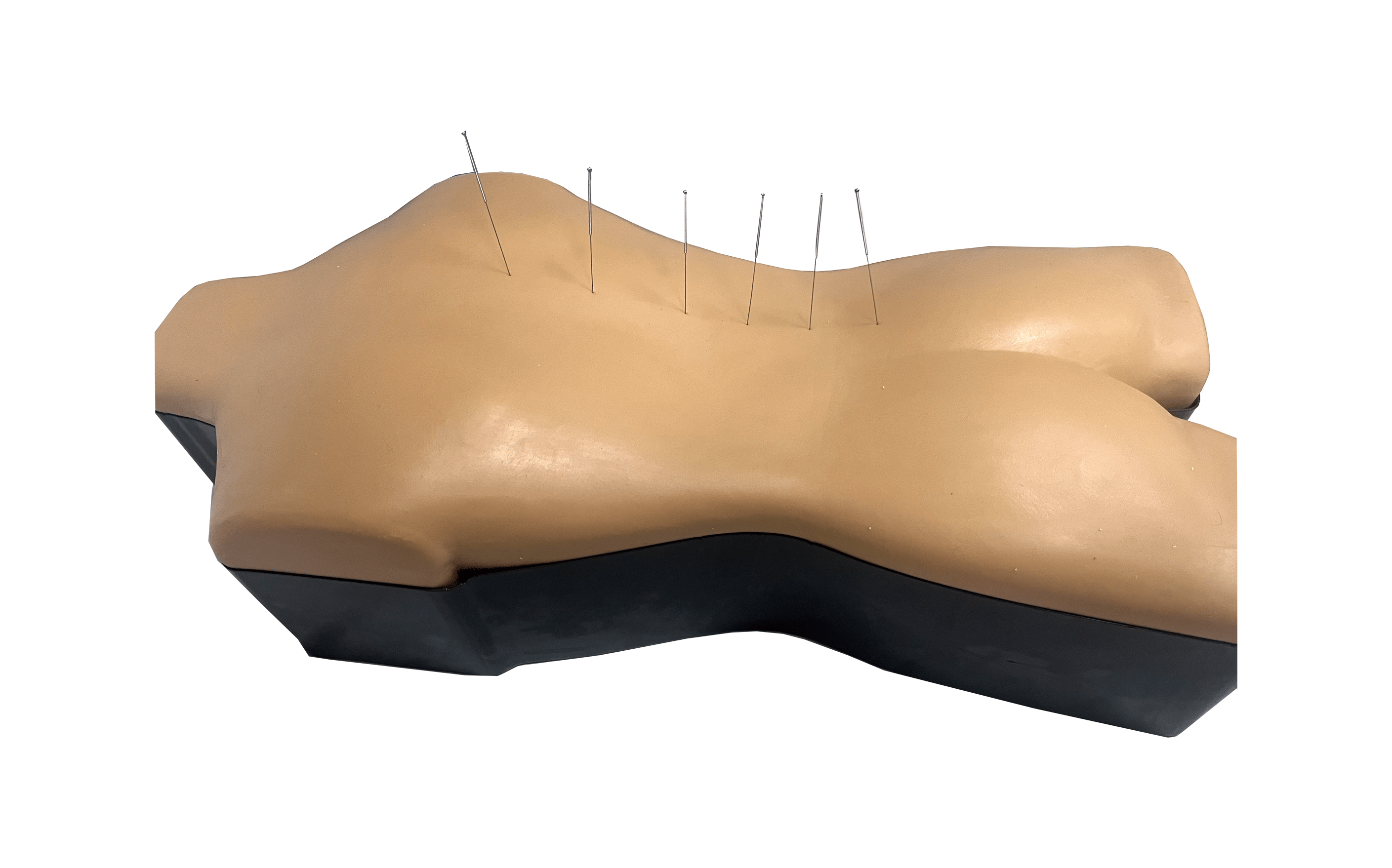 MZ001 背部仿真针刺练习平台