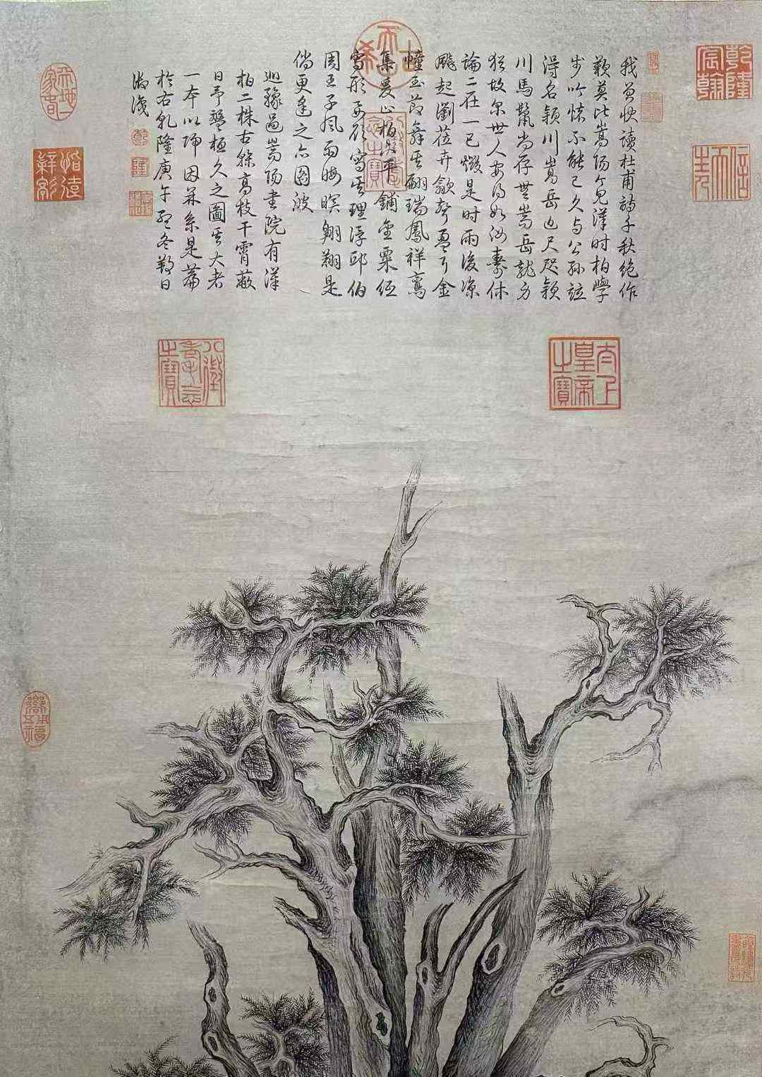 乾隆御笔款《汉阳松柏图》