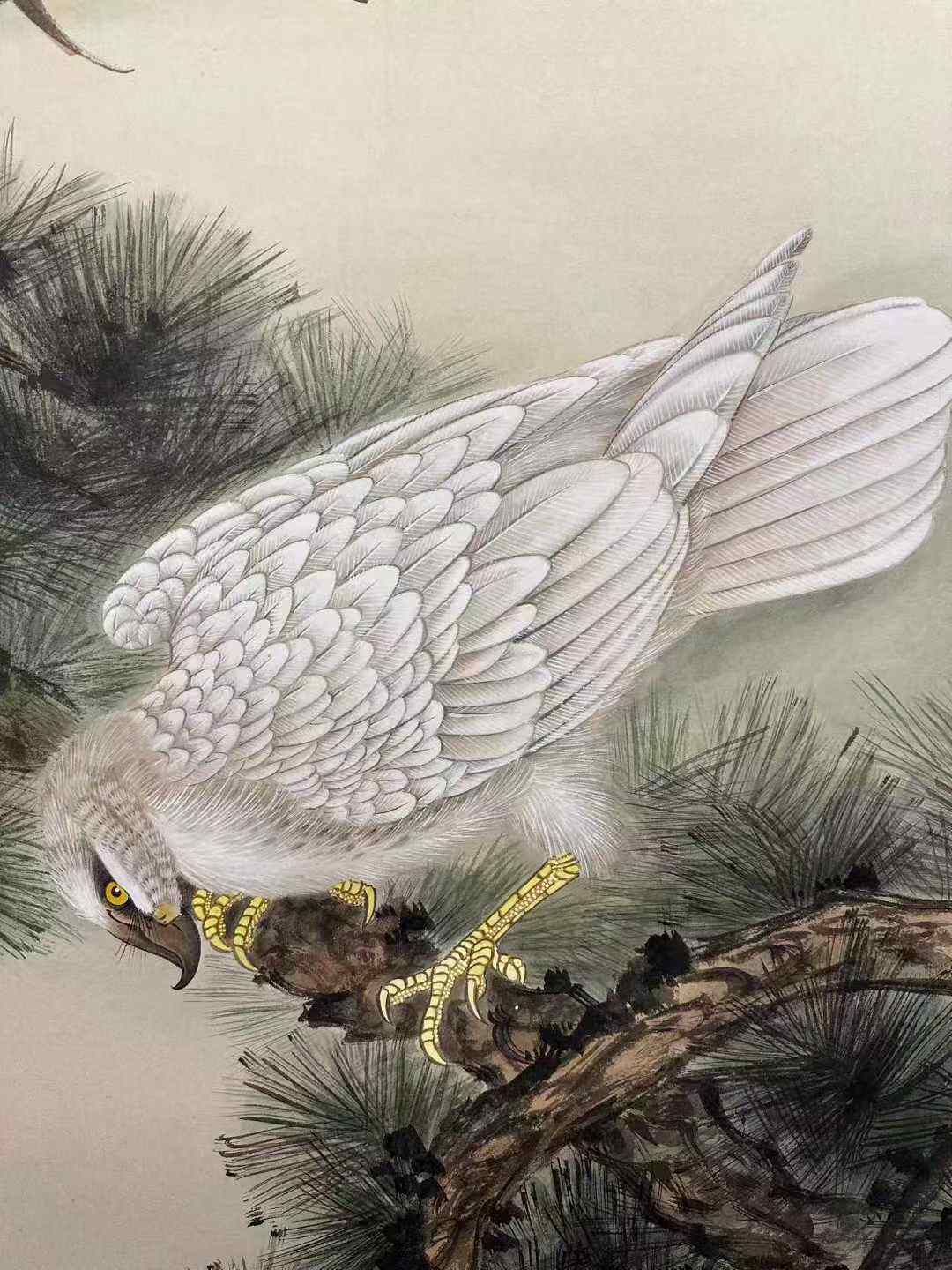 田世光款《松鹰图》纸本