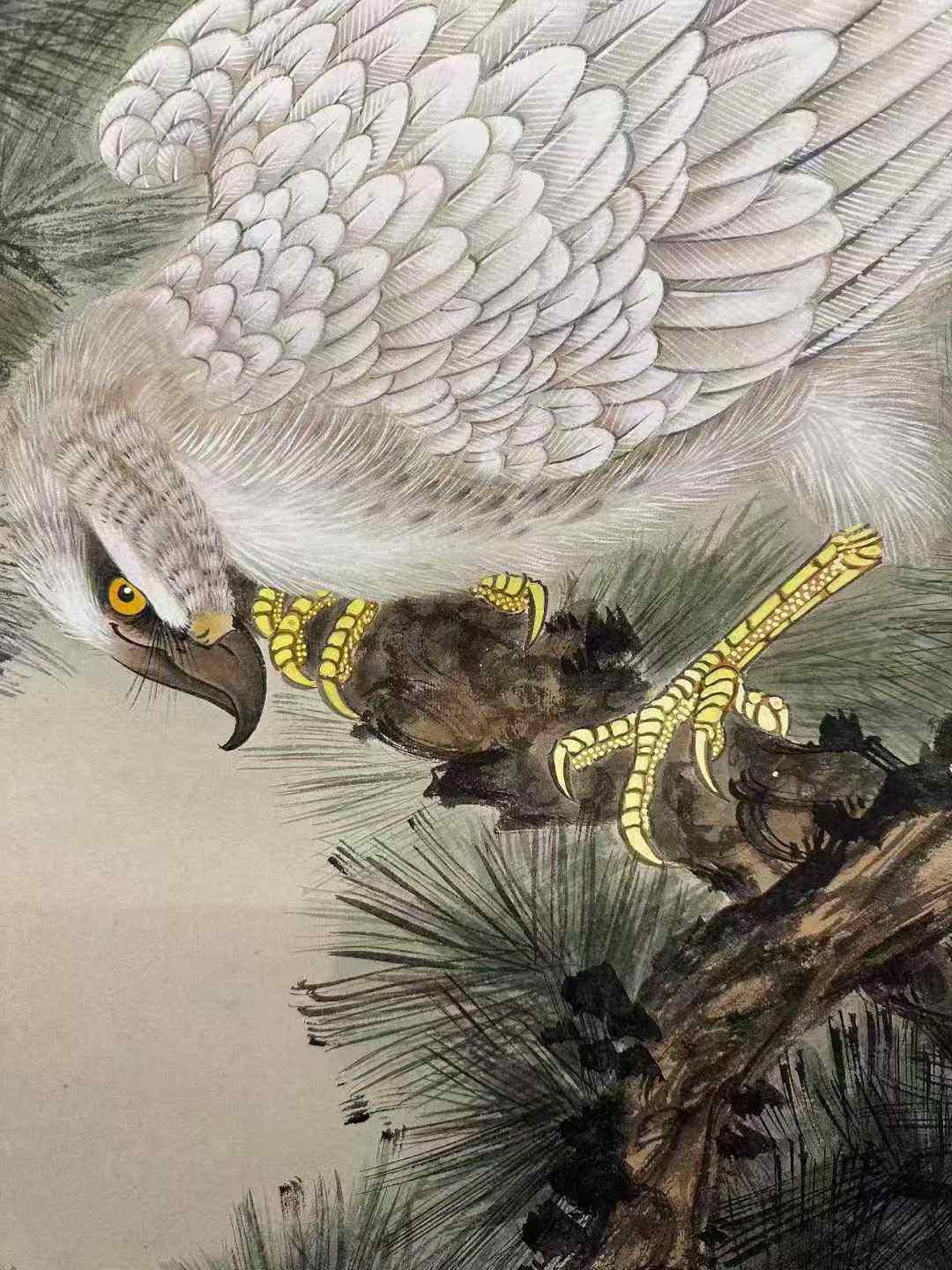 田世光款《松鹰图》纸本