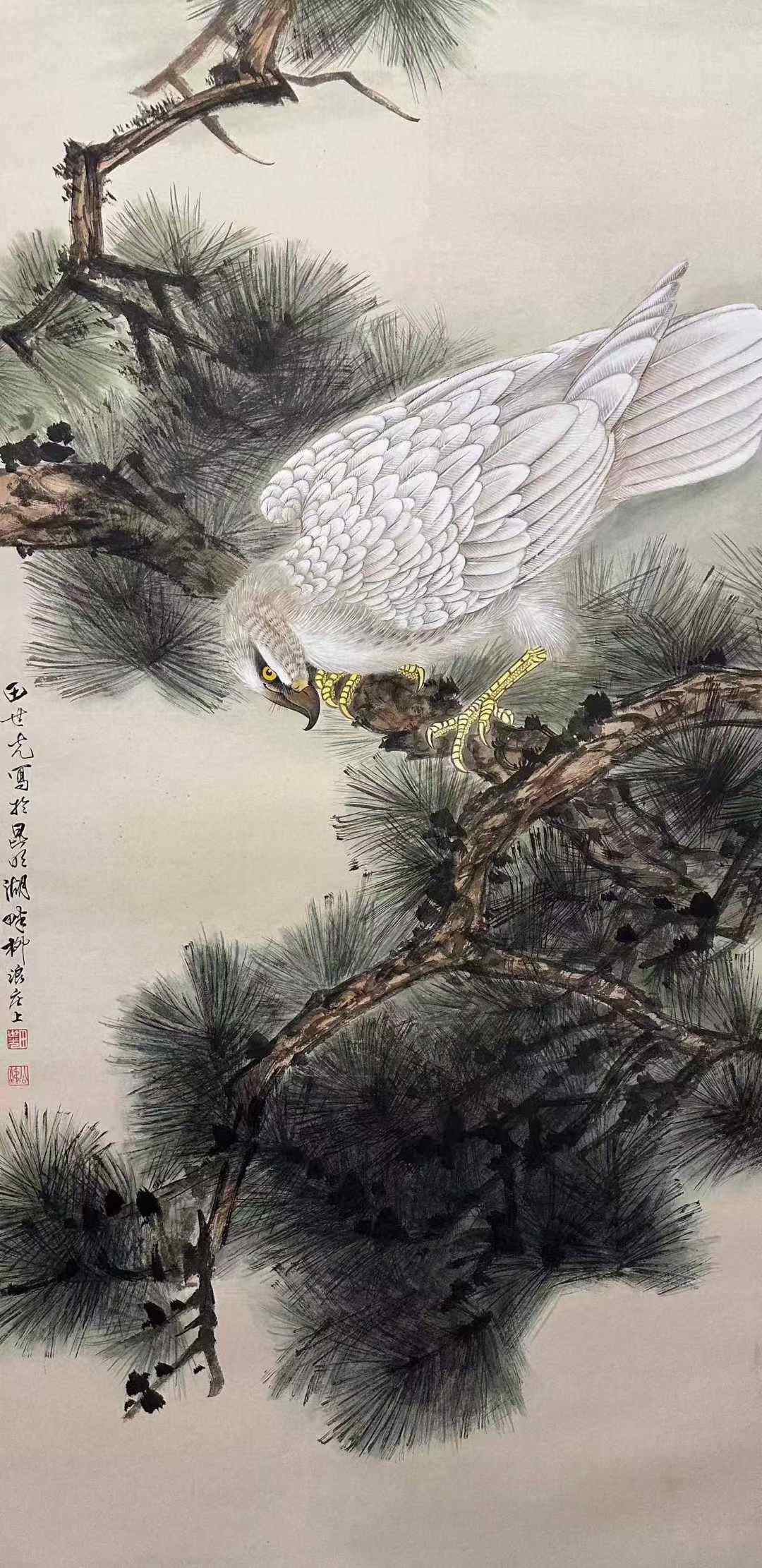 田世光款《松鹰图》纸本