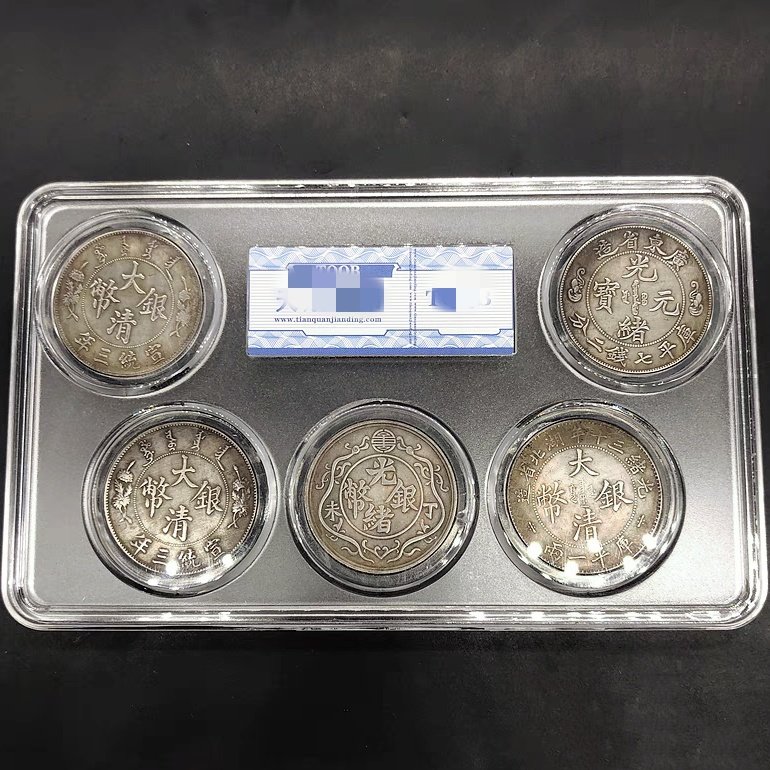 五大天王银元一组