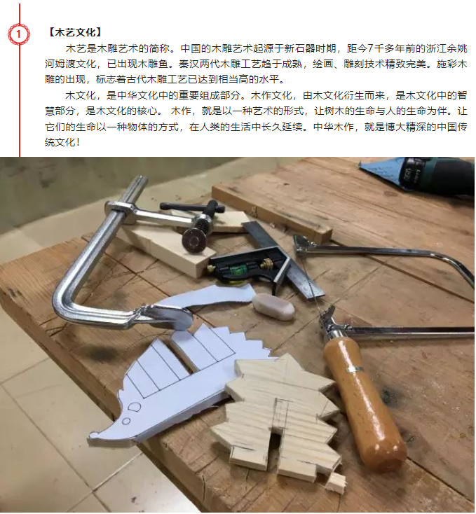 【企业活力提升】让树木的芬芳走进你的周末时光