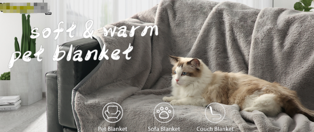 爆单ing！年销1400万，宿迁这家跨境企业有何来头？