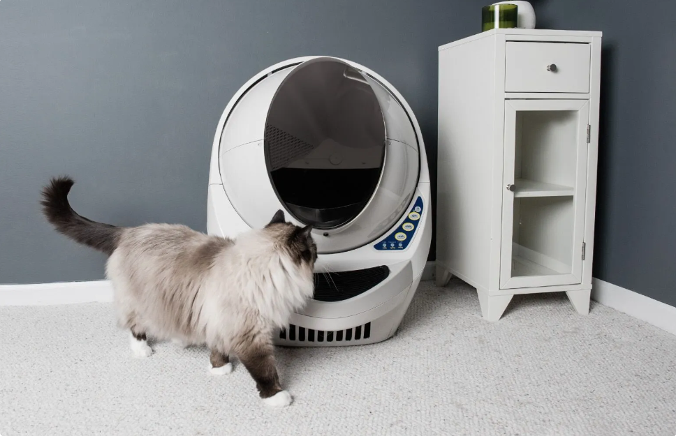 500美元单品热销，卖家造出垂类“爱马仕”