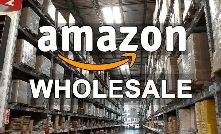 亚马逊运营方式很多，简单的介绍常见的5种运营方式