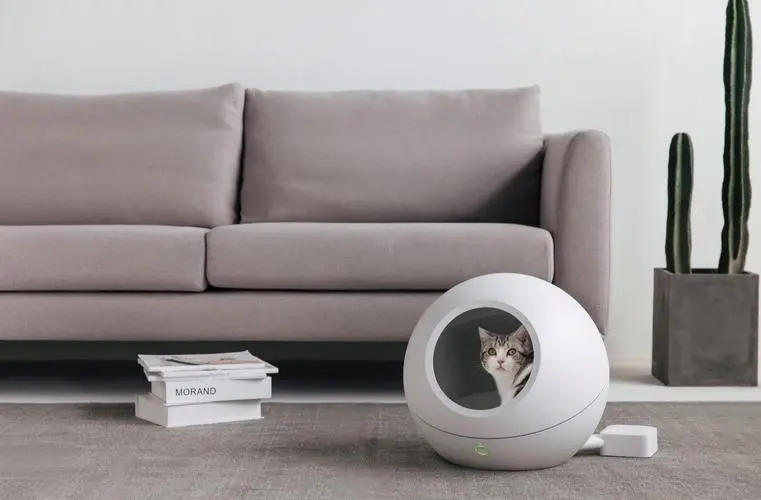 爆单预警！Shopee 8大站点热销宠物用品盘点