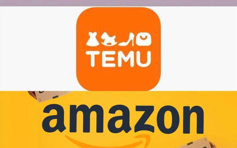 亚马逊和Temu的“互相成就”