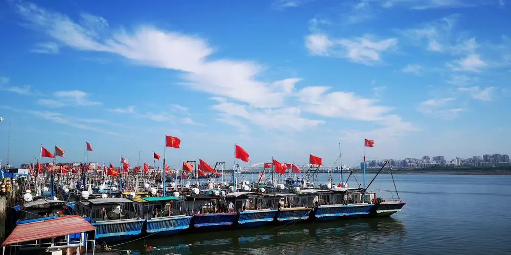 跨境电商平台海带网突然倒闭，商家维权潮起