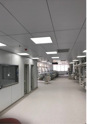 Snipaste_2022-08-17_11-16-06