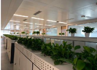 Snipaste_2022-08-17_11-19-09