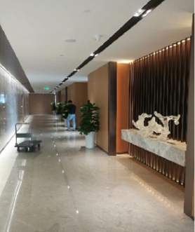 Snipaste_2022-08-17_11-19-32