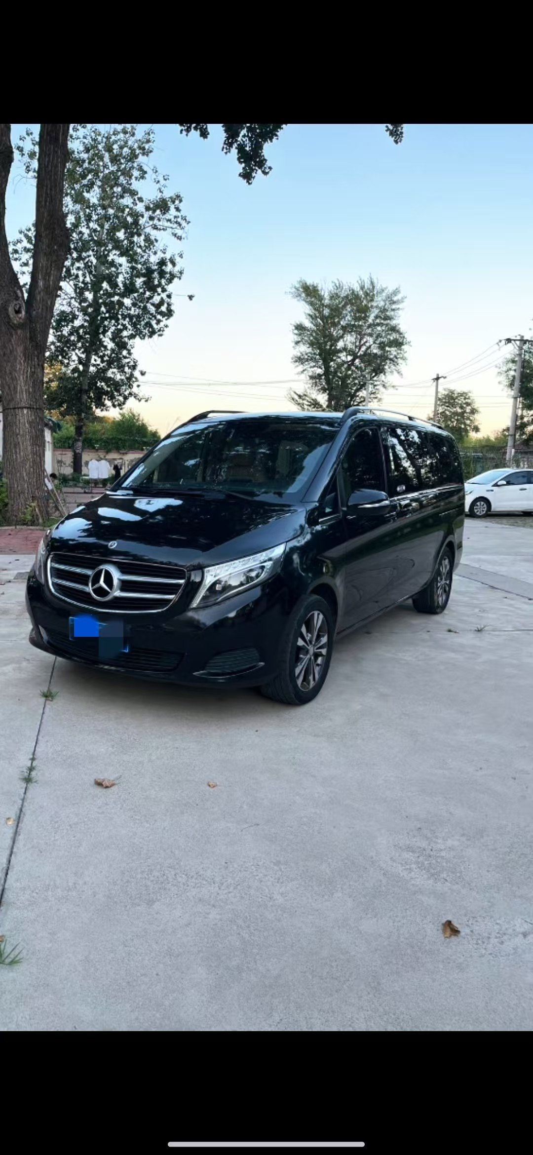 奔驰V260L（7座）