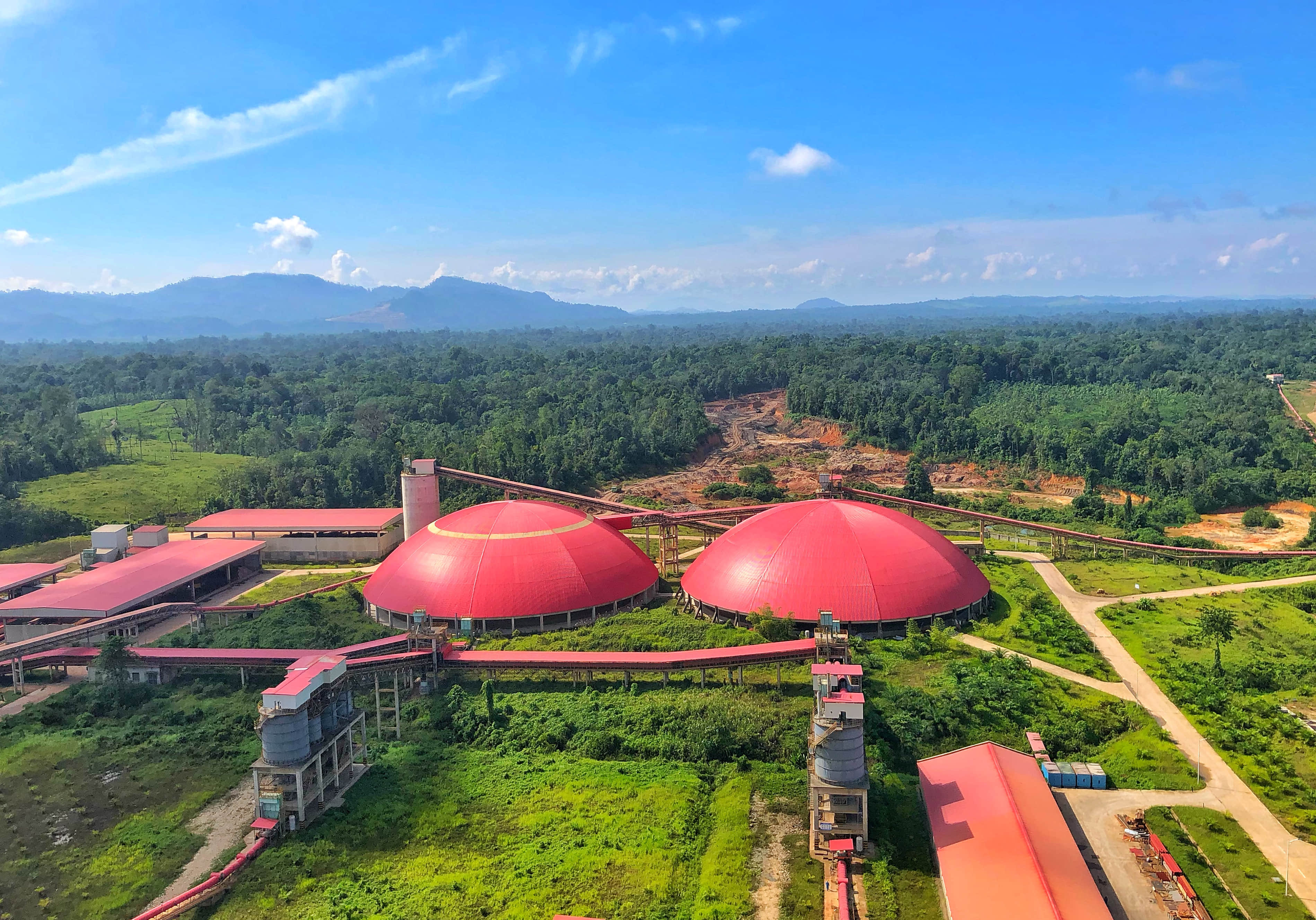 南加海螺别样红