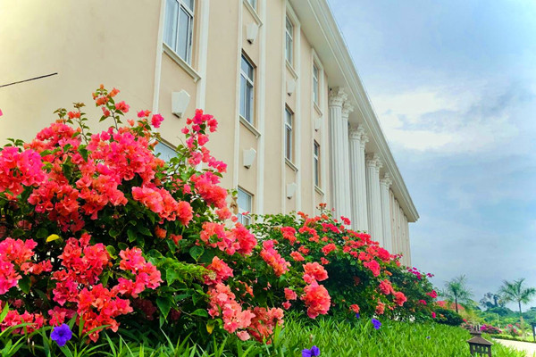 Samping Apartmen Conch