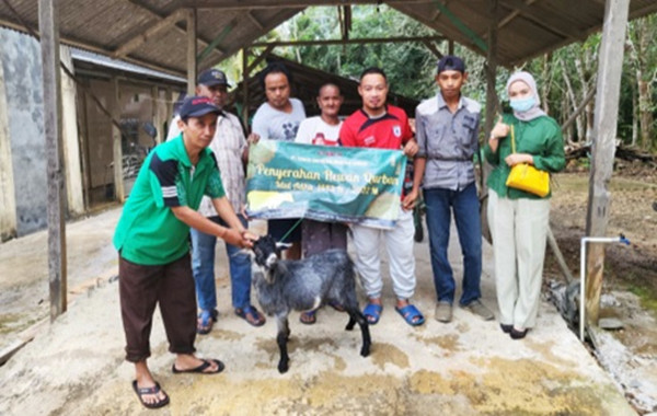 Idul Adha Tahun 1443H/2022 PT.CSKC Sumbangkan 2 Ekor Sapi dan 3 Ekor Kambing