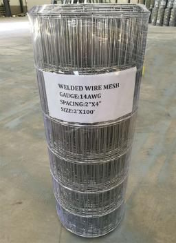 Welded Wire Mesh