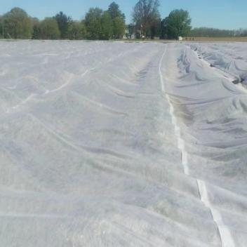 Frost Protection Fabric