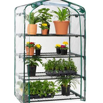 Mini Green House