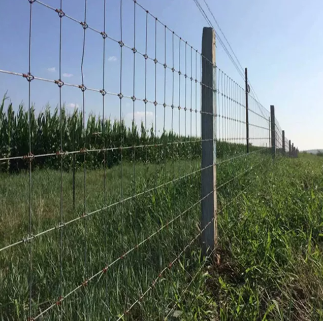 Field Fence