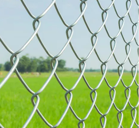 Chain link Fence