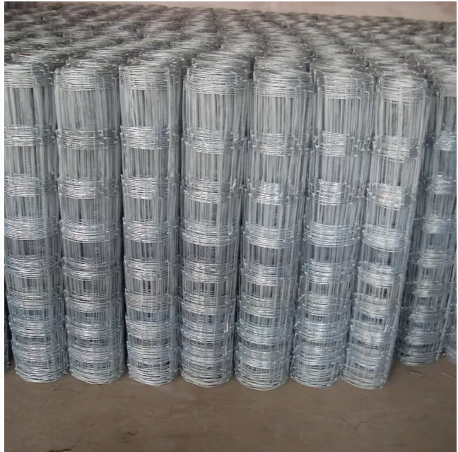 Welded Wire Mesh